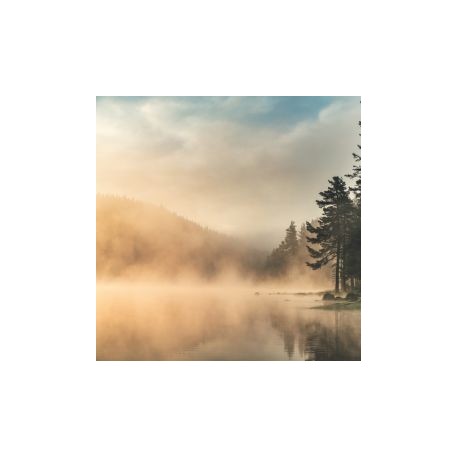 PRÓBKA Fototapeta Harmonia natury