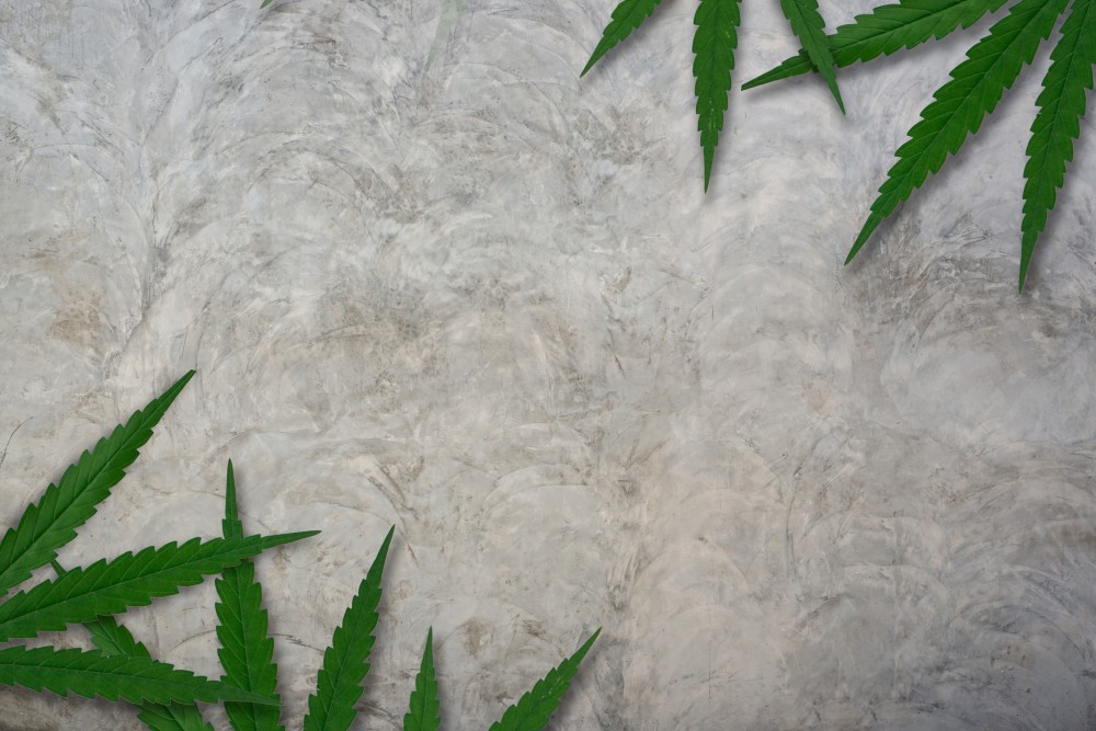 Kompozycja z Liśćmi