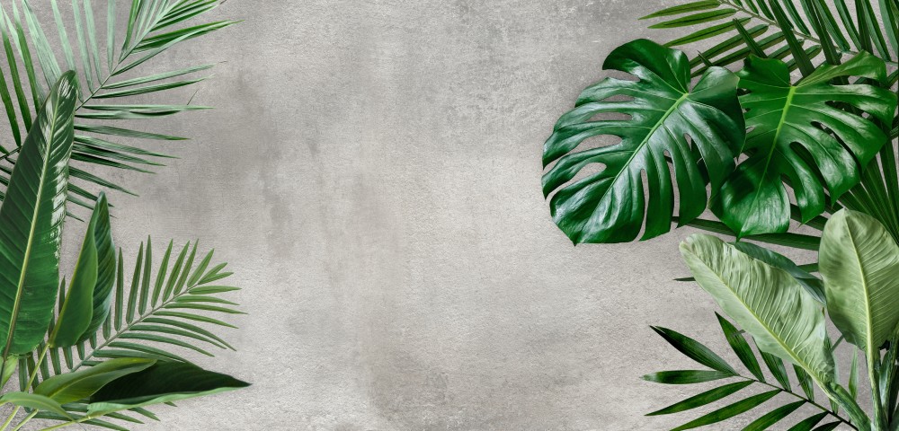 Kreatywność w Naturalnym Stylu