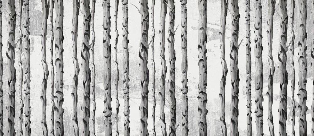 Akwarelowy las brzozowy