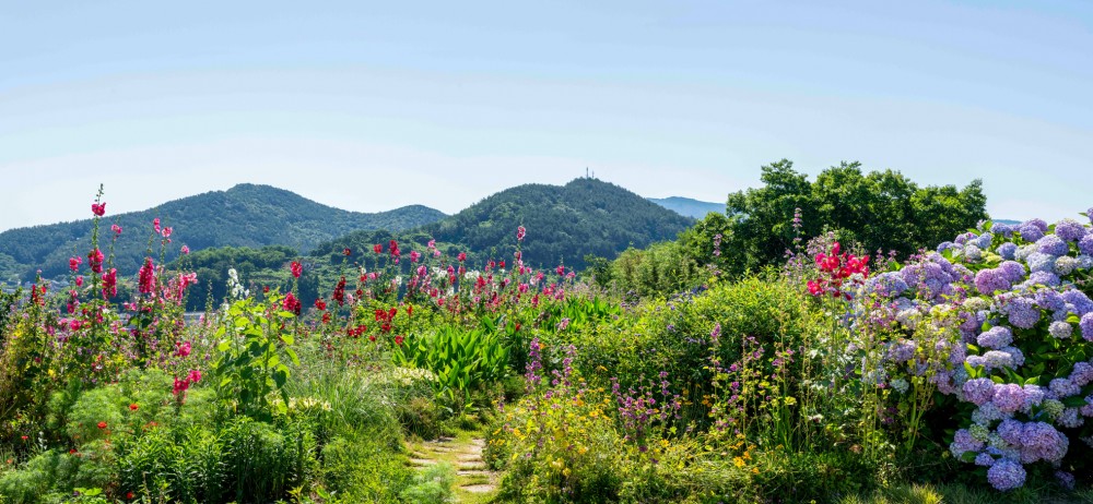 Górski krajobraz z kolorowymi kwiatami