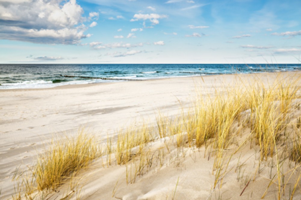 Piaszczysta plaża nad Bałtykiem 