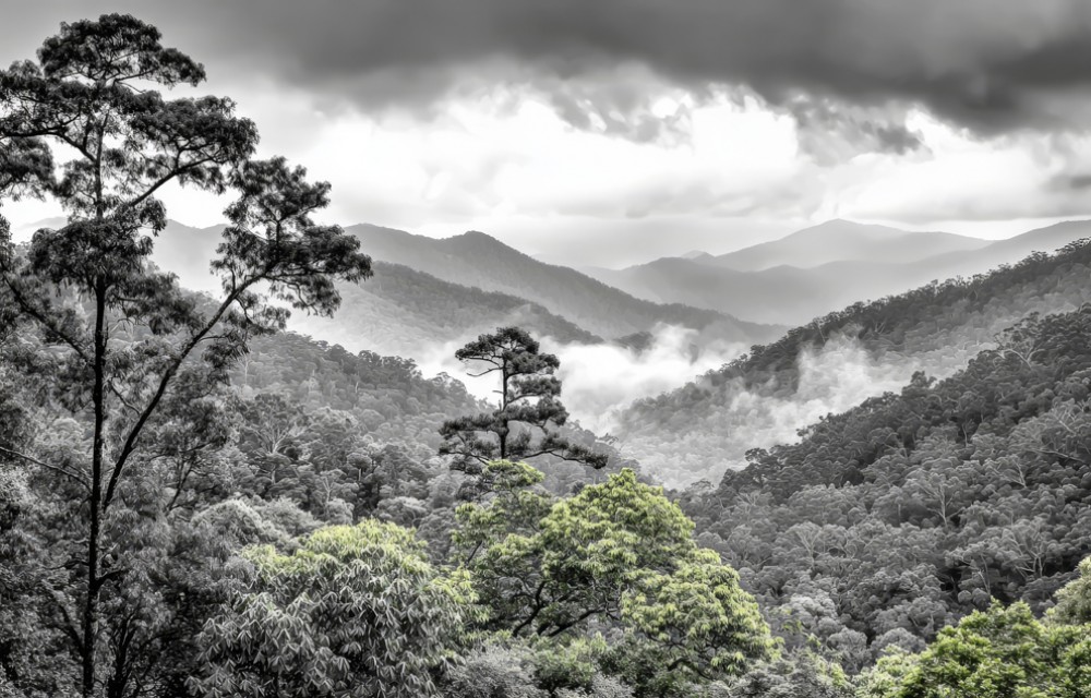 Las i góry w stylu grunge