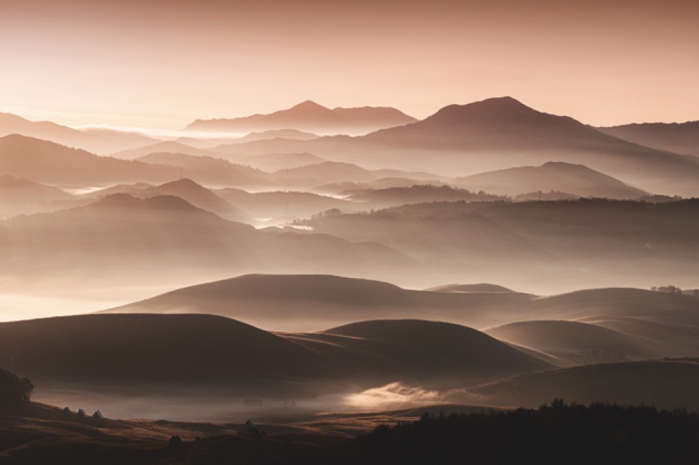 Złote wzgórza w porannej mgle