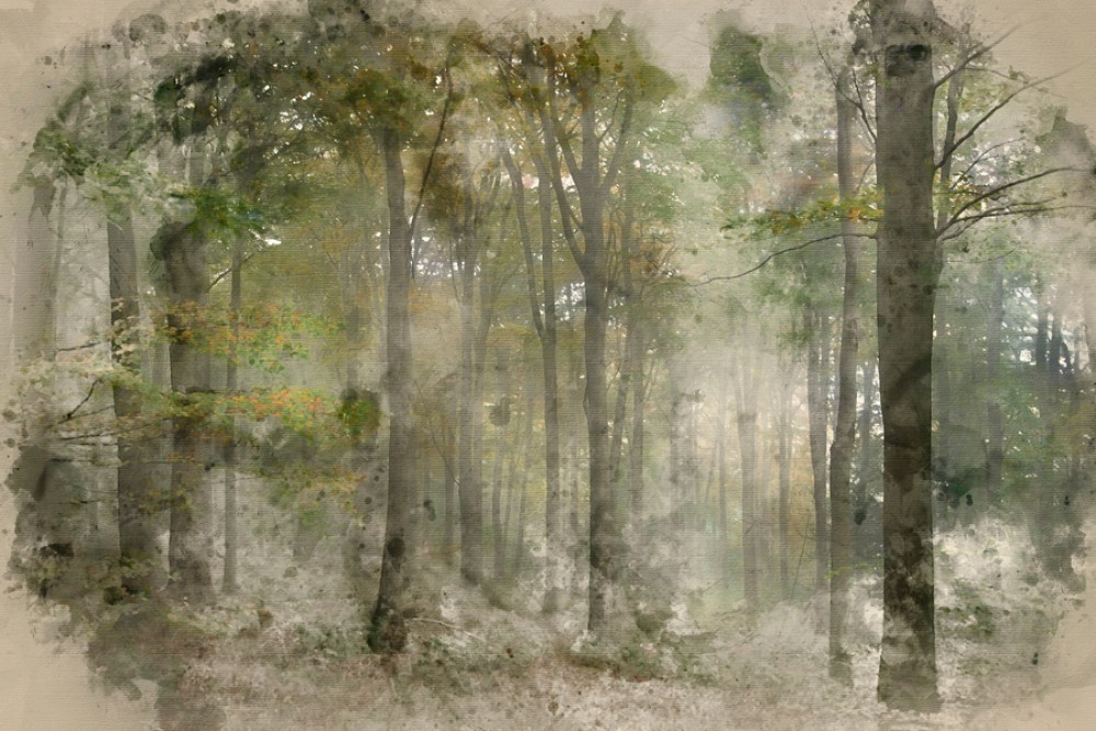 Malowany leśny pejzaż