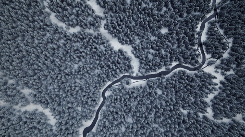 Zimowy las z lotu ptaka