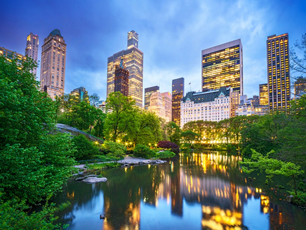 Central Park w Nowym Jorku 