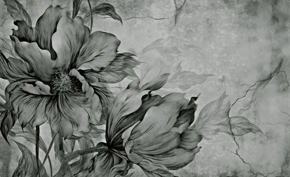 Piękny duży kwiat na betonowej ścianie