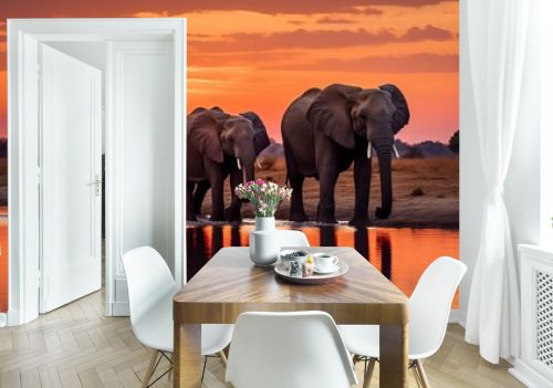 Scene with group of elephants