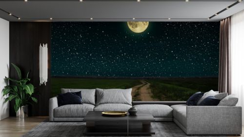 Beautiful magic night sky with fullmoon and stars road receding into the distance green grass