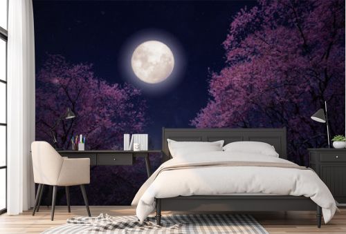 Romantic night scene - Beautiful cherry blossom (sakura flowers) in night skies with full moon. fantasy style artwork with vintage color tone.