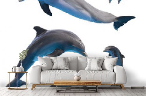 Set of dophins isolated on white, png file 