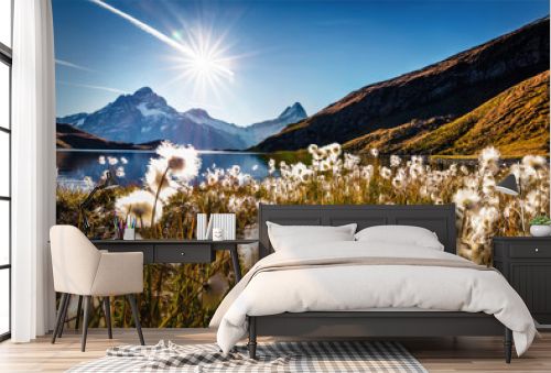 Wonderful morning scene of Bachalp lake / Bachalpsee with feather grass flowers. Stunning autunm scene of Swiss alps, Grindelwald, Bernese Oberland, Europe. Beauty of nature concept background.
