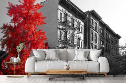 Red trees and old buildings in black and white cityscape scene on Sullivan Street in the SoHo neighborhood of New York City