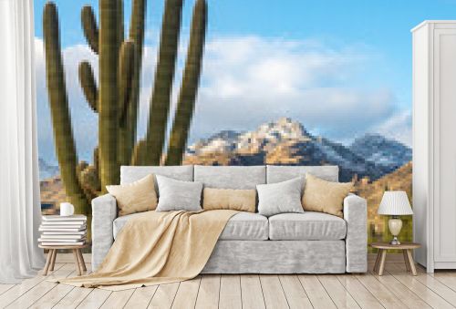 saw saguaro in the Arizona desert with mountain in background