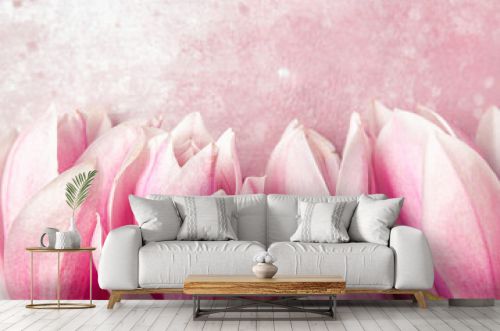 Pink magnolia flowers composition on pink background. Wedding or mothers day background