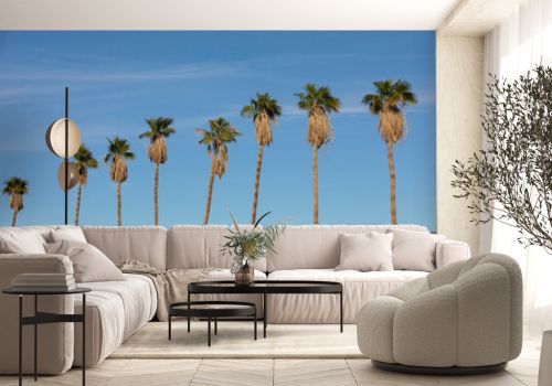Palm tree view of Coachella, California, USA.