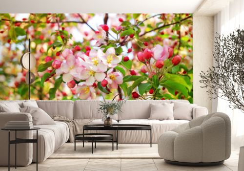Blooming pink white flowers on apple tree branches close up, red cherry flowers blossom, beautiful sakura garden, spring orchard in bloom, green leaves soft blurred background, summer sunny day nature