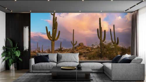 AZ Desert Sunset Landscape With Cactus On A Hill