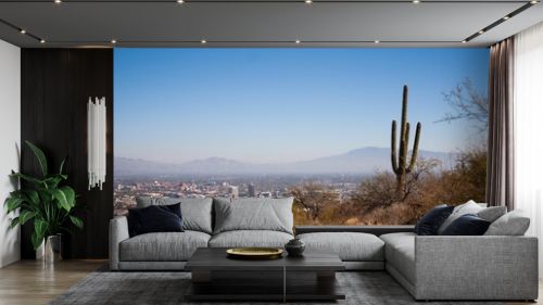 A single saguaro cactus stands overlooking downtown Tucson