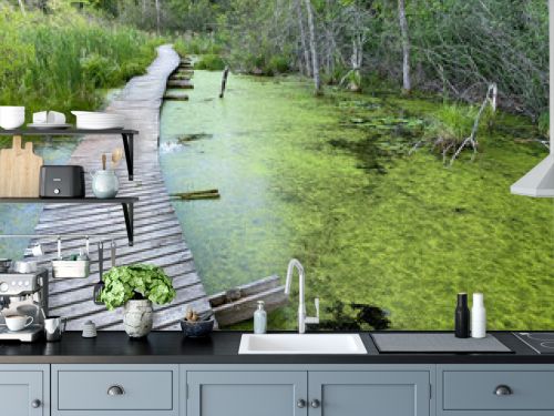 A swamp path outdoors is a wooden structure with a green nature background in landscape scenery