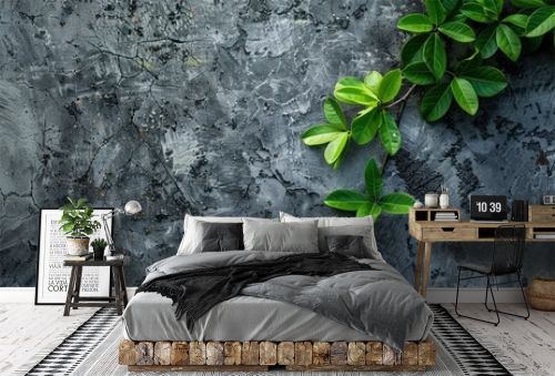 Beautiful and young fresh green plant on the concrete wall, aesthetic composition, calm atmosphere, yoga, massage, meditation