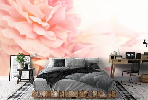Sweet roses in soft color style for background 
