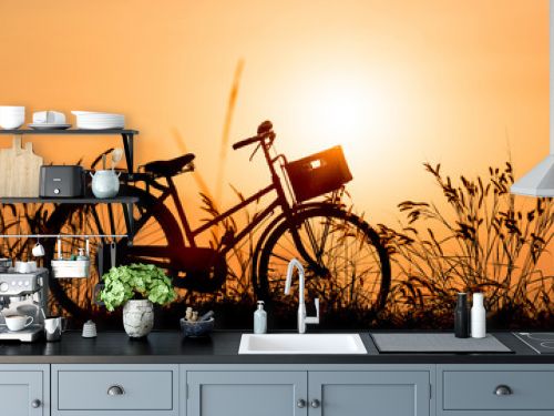 beautiful landscape image with Silhouette vintage Bicycle at sun