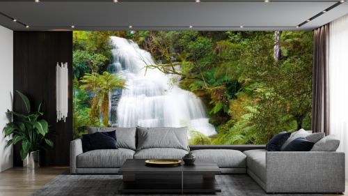 Waterfall in Otways Rainforest