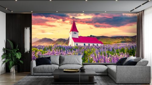 Vik i Myrdal Church, Víkurkirkja, surrounded by blooming lupine flowers in the Vik village. Dramatic summer sunrise in the Iceland, Europe. Beauty of countryside concept background.