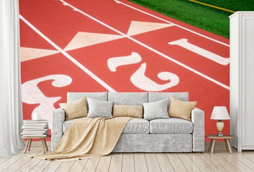 Bright sunny view of athletic running track in fresh red rubber with numbered lanes