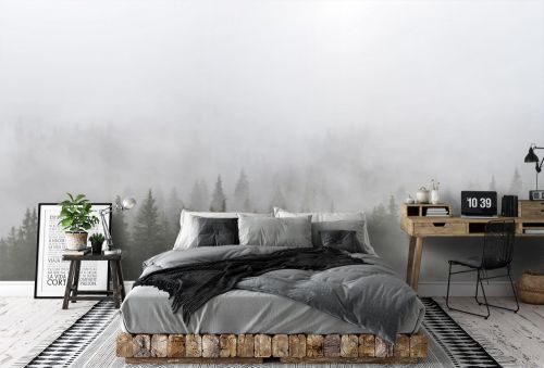 Mystic landscape with fog