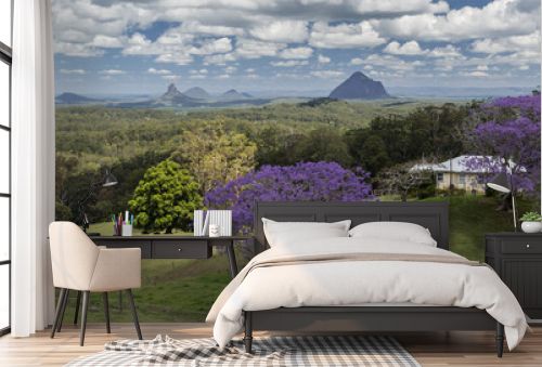 Australia - Blue Jacaranda Trees with the Glass House Mountains in the background