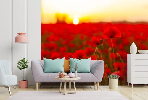 Beautiful background with blooming red poppies at sunset