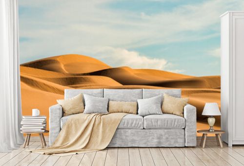 Algodones dunes in California near Yuma desert.