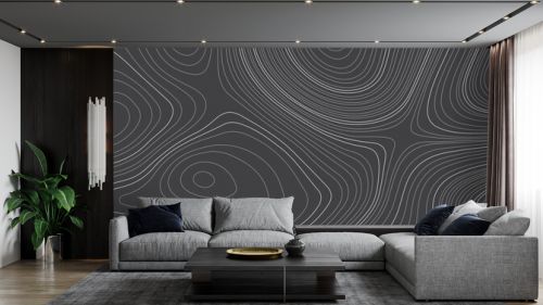 The stylized black and white abstract topographic map with lines and circles background. Topographic map and place for texture. Topographic gradient linear background with copy space. 
