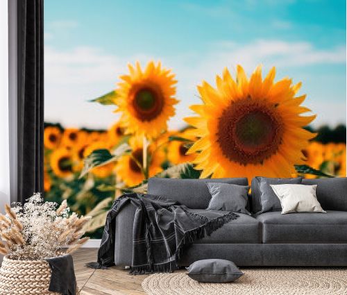 Field of sunflowers with a blue sky. Beautiful summer landscape. Generative AI