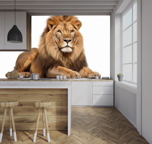 Lion the king of the jungle, setting on the floor. Isolated on white background. Generated AI