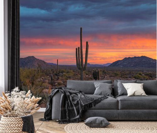 Vibrant Arizona Sonoran Desert Landscape At Sunrise Time Near Phoenix 