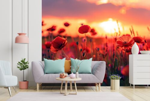 Beautiful meadow with red poppy flowers in the sunset light