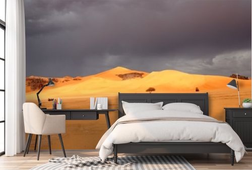 Desert scenes19