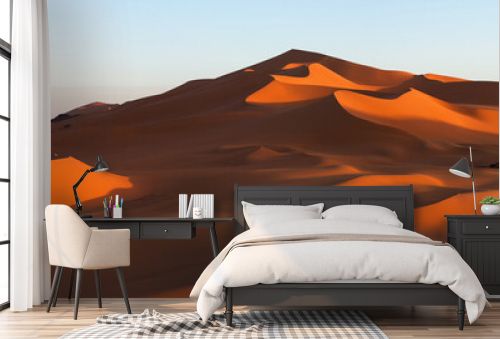 Panorama of sand dunes, Sahara desert
