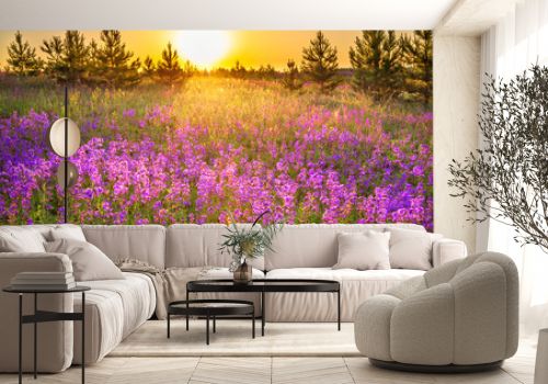 spring landscape with flowering purple flowers on meadow