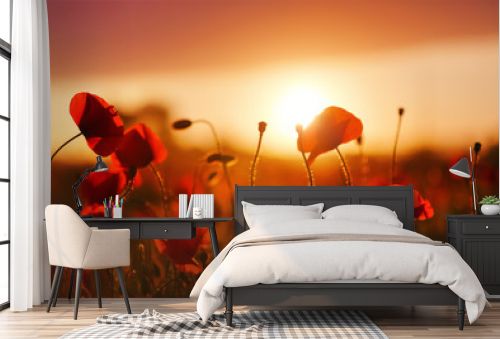 Beautiful field of red poppy. Majestic sunset lights up with the warm light the sky and the field of lush, big nice poppies. Wallpaper flowers. Amazing summer day.