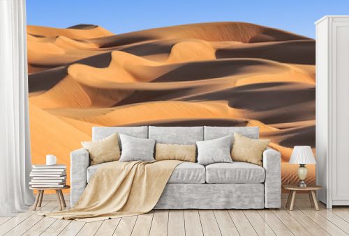 Sand dunes in the desert of Oman