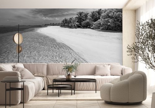 Dramatic black and white process of calm sea and waves over palm trees, sandy beach and sky. Summer landscape