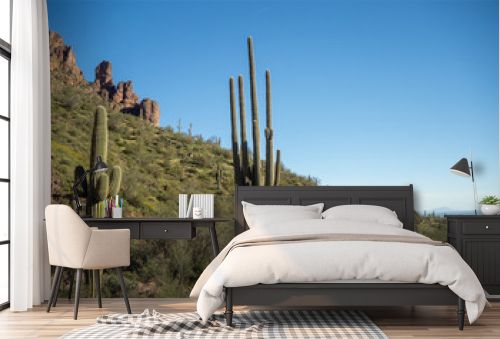 Superstition Mountains with Saguaro Cactus in Arizona Desert