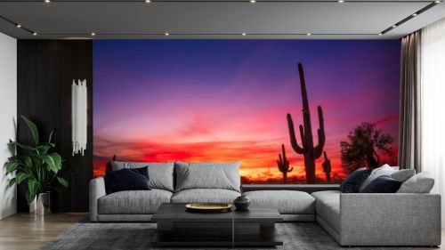 Arizona desert landscape with Saguaro cactus at sunset