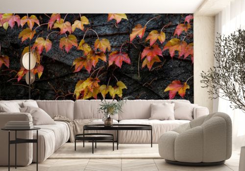Autumn colored leaves on a black background