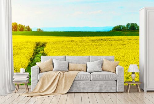 Spring landscape background banner - Beautiful panorama from a Canola Field in Germany